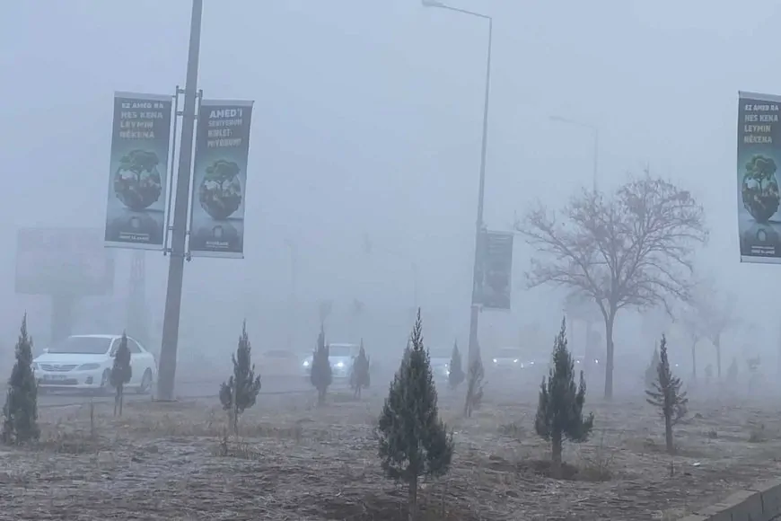 Diyarbakır'da Sis Ulaşımı ve Yaşamı Olumsuz Etkiledi