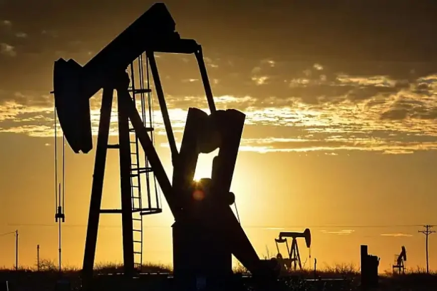 Siirt’te Petrol Arama Ruhsatının Süresi Uzatıldı