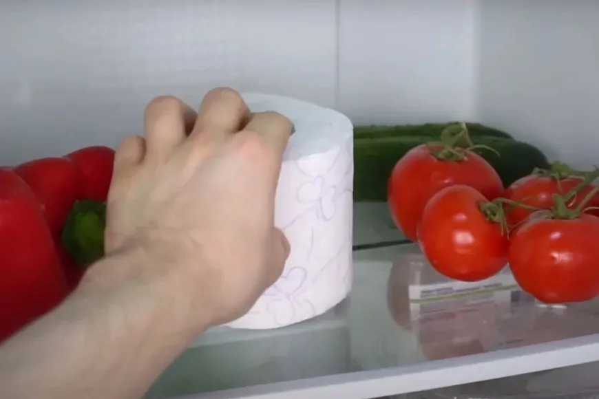Buzdolabındaki Kötü Koku ve Nem Sorununa 1 Rulo Tuvalet Kağıdı Çözümü