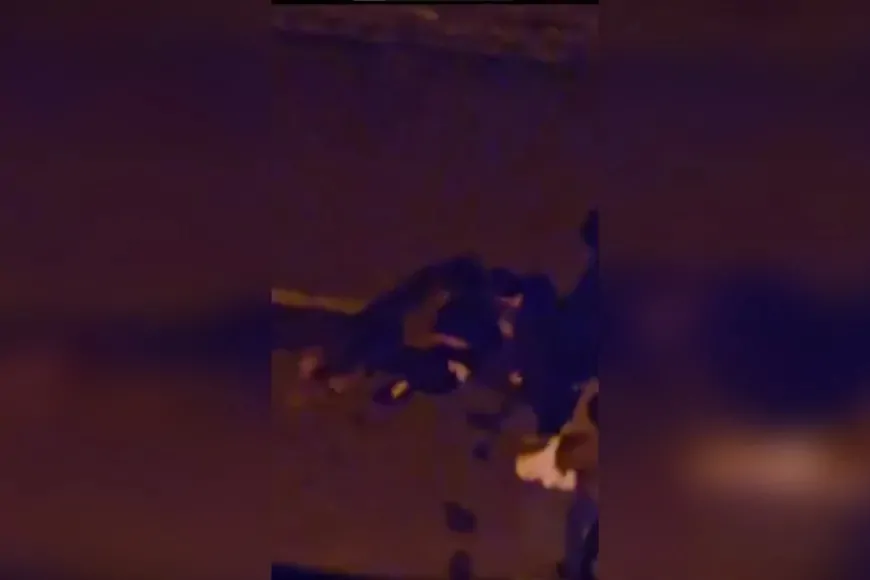 Giresun’da sokak köpeği saldırısı: Kadın boğazından ağır yaralandı