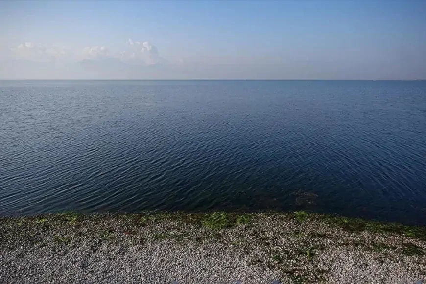 Ege'deki Depremler Sonrası Tsunami Riski: AFAD'dan Açıklama