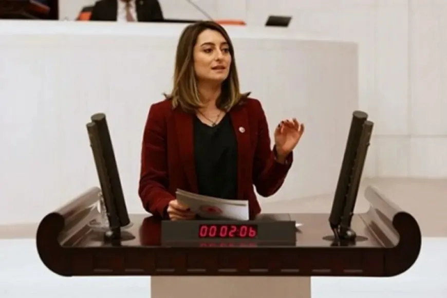 CHP’li Aysu Bankoğlu: 'Mustafa Kemal’in askerlerini ihraç ederek cumhuriyet değerlerini hedef alıyorsunuz'