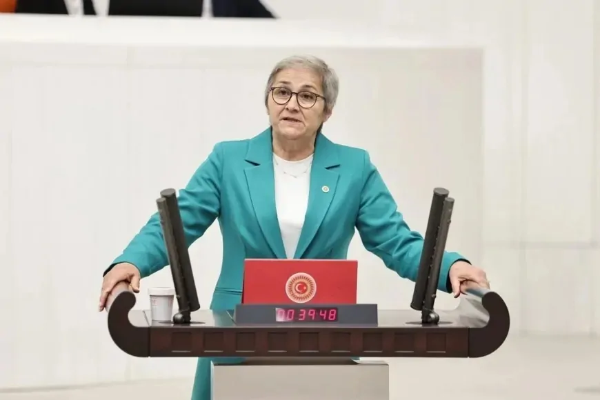 CHP’li Ayça Taşkent: 'Türkiye ucuz et kuyruklarına mahkûm edildi'