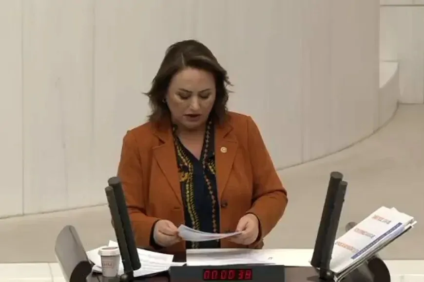 CHP Adana Milletvekili Müzeyyen Şevkin: 'İliç Maden Faciası, Denetimsizliğin ve Aşırı Üretimin Bedelidir'