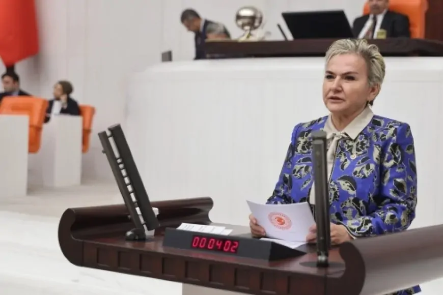 CHP'li Nimet Özdemir: 'Sokak Hayvanlarının Yok Edilmesi, Toplum Olarak Sınavı Geçemediğimizin Göstergesidir'