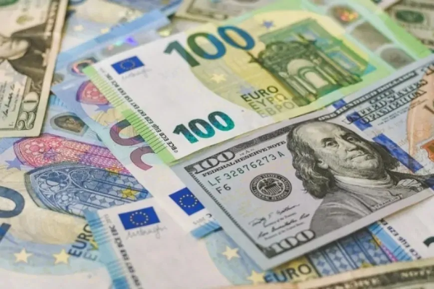 14 Şubat 2025 Döviz Kurları: Dolar ve Euro'daki Son Durum!