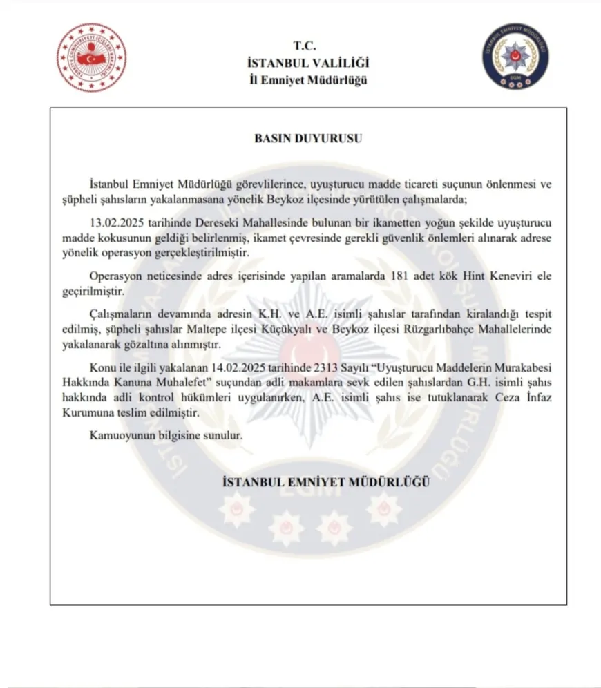 Beykoz'da uyuşturucu madde ticareti operasyonu: 181 kök Hint Keneviri ele geçirildi