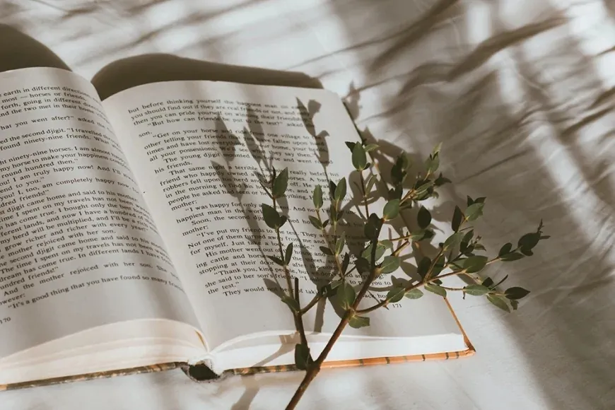 2.000 Yıllık Skandal Kitap Yeniden Gündemde: İngiltere'de En Çok Satanlar Listesinde