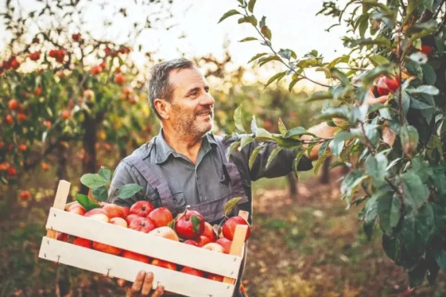 Yerli girişimciler modern tarımla yatırımcıların radarında