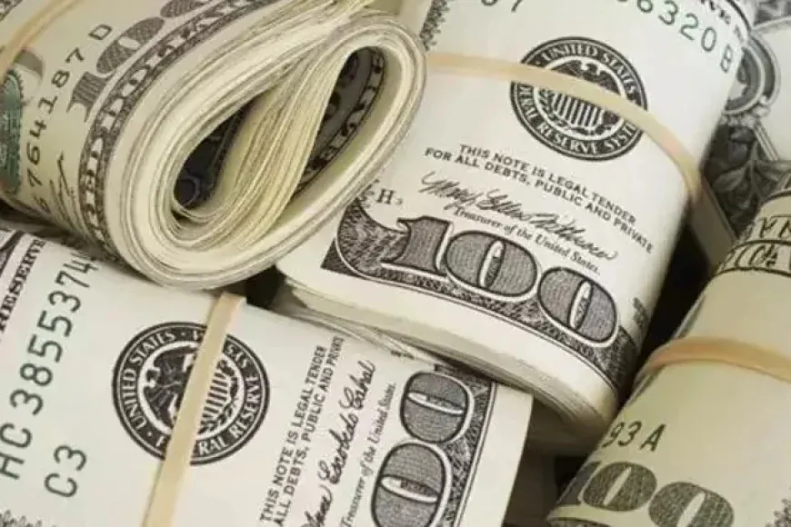Yurt İçi Yerleşiklerin Döviz Mevduatları 4,3 Milyar Dolar Arttı