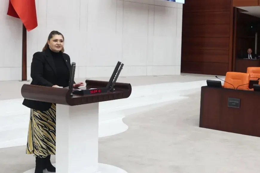 İYİ Partili Selcan Taşcı: ‘Çiftçiyi yalnız bırakırsanız bedelini hepimiz ağır öderiz!’