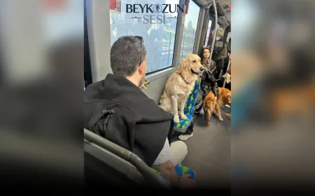 Metrobüste Öncelikli Koltuk Krizi: Köpek Yolculuğu Tartışma Yarattı!