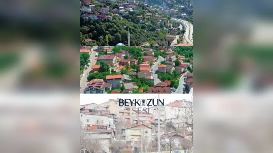 Beykoz Soğuksu Karslar Mahallesi'nde Yıllardır Çözülmeyen Tapu Krizi: Halk Destek Bekliyor