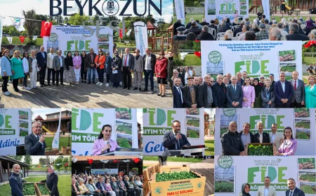 Beykoz Belediyesi’nden Çiftçiye Dev Destek: 1 Milyon 50 Bin Yazlık Fide Ücretsiz Dağıtıldı