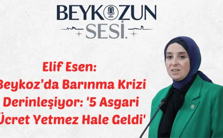 Elif Esen: Beykoz’da Barınma Krizi Derinleşiyor: '5 Asgari Ücret Yetmez Hale Geldi'