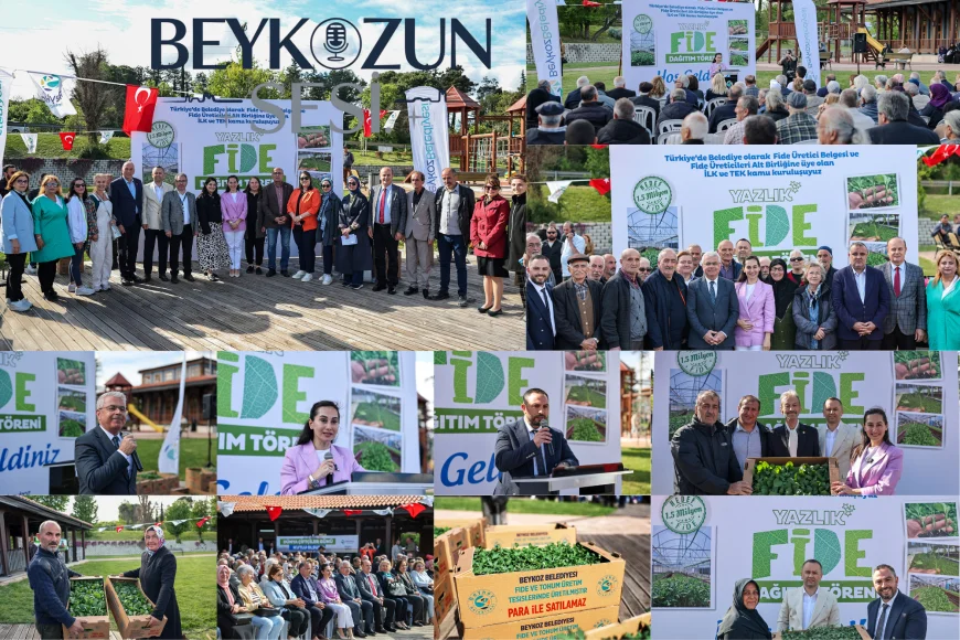 Beykoz Belediyesi’nden Çiftçiye Dev Destek: 1 Milyon 50 Bin Yazlık Fide Ücretsiz Dağıtıldı
