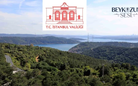 İstanbul’da Ormanlara Girişler 23 Haziran’dan İtibaren Yasaklanıyor: 15 Ekim’e Kadar Sürecek Önlemler Açıklandı