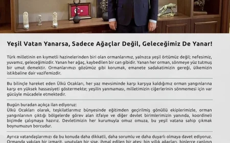 Ülkü Ocakları Genel Başkanı Ahmet Yiğit Yıldırım: "Yeşil vatan yanarsa, sadece ağaçlar değil, geleceğimiz de yanar"