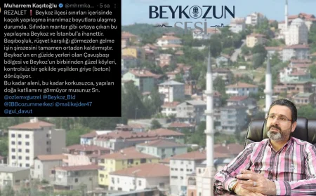 Beykoz’da Kaçak Yapılaşma ve Betonlaşma Krizi Büyüyor: Çavuşbaşı’nda Yeşil Alanlar Griye Dönüşüyor