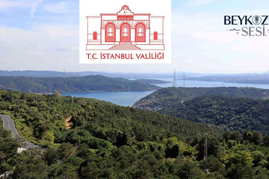 İstanbul’da Ormanlara Girişler 23 Haziran’dan İtibaren Yasaklanıyor: 15 Ekim’e Kadar Sürecek Önlemler Açıklandı