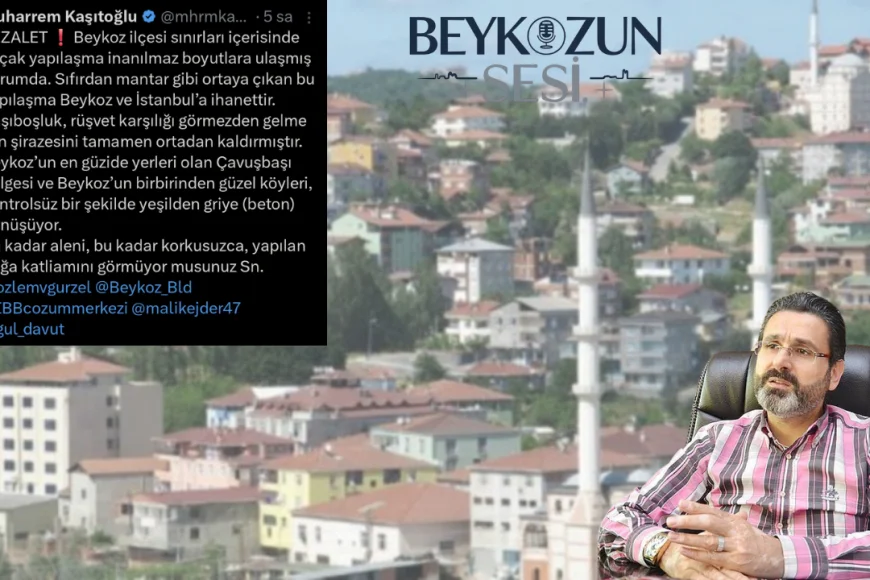 Beykoz’da Kaçak Yapılaşma ve Betonlaşma Krizi Büyüyor: Çavuşbaşı’nda Yeşil Alanlar Griye Dönüşüyor