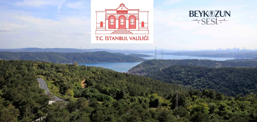 İstanbul’da Ormanlara Girişler 23 Haziran’dan İtibaren Yasaklanıyor: 15 Ekim’e Kadar Sürecek Önlemler Açıklandı