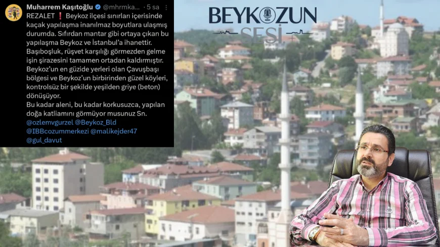 Beykoz’da Kaçak Yapılaşma ve Betonlaşma Krizi Büyüyor: Çavuşbaşı’nda Yeşil Alanlar Griye Dönüşüyor