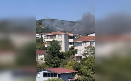 Beykoz Karlıtepe’de Orman Yangını: Alevler Kısa Sürede Yayıldı, Müdahale Sürüyor