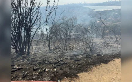 Beykoz Gümüşsuyu'nda Mandıra Yolu Üzerindeki Yangın Ekiplerin Müdahalesiyle Söndürüldü