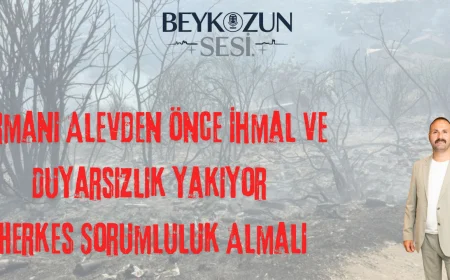 MHP'li Ahmet Baygın: "Ormanı Alevden Önce İhmal ve Duyarsızlık Yakıyor, Herkes Sorumluluk Almalı"