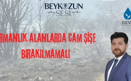 DEVA Partisi Beykoz İlçe Başkanı Şenol Korkmaz: "Ormanlık alanlarda cam şişe bırakılmamalı"