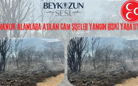 MHP Beykoz İlçe Başkanlığı: "Ormanlık alanlara atılan cam şişeler yangın riski yaratıyor"