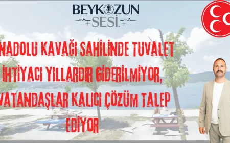 Anadolu Kavağı Sahilinde Tuvalet İhtiyacı Yıllardır Giderilmiyor: Vatandaşlar Kalıcı Çözüm Talep Ediyor