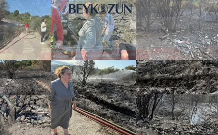 Beykoz’da Ormanlık Alanda Yangın Sonrası İçki Şişeleri Ortaya Çıktı: Muhtardan Duyarlılık Çağrısı