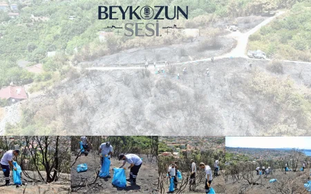 Başkan Vekili Özlem Vural Gürzel: “Ormanlarımızı korumak hepimizin ortak sorumluluğu”