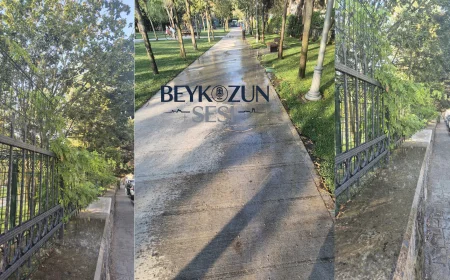 İstanbul Otağtepe Parkı’nda sulama skandalı: Ağaçlar kuruyor, elektrik panoları ıslanıyor