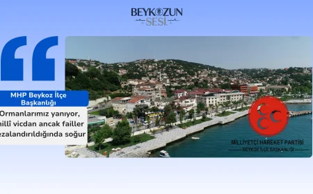 MHP Beykoz İlçe Başkanlığı: "Ormanlarımız yanıyor, millî vicdan ancak failler cezalandırıldığında soğur"