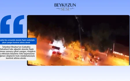 Çubuklu’da ormanlık alanda fişek nedeniyle çıkan yangın kontrol altına alındı