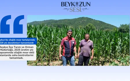 Beykoz’da silajlık mısır tarlalarında 2025 yılı denetimleri tamamlandı