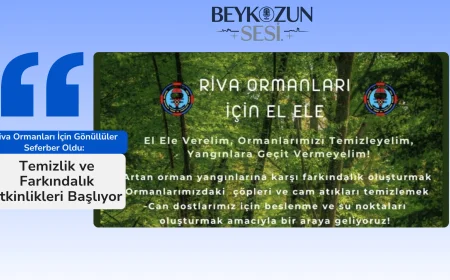 Riva Ormanları İçin Gönüllüler Seferber Oldu: Temizlik ve Farkındalık Etkinlikleri Başlıyor