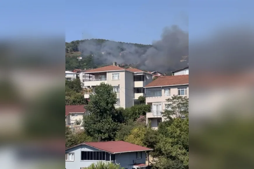 Beykoz Karlıtepe’de Orman Yangını: Alevler Kısa Sürede Yayıldı, Müdahale Sürüyor