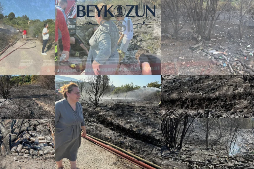 Beykoz’da Ormanlık Alanda Yangın Sonrası İçki Şişeleri Ortaya Çıktı: Muhtardan Duyarlılık Çağrısı