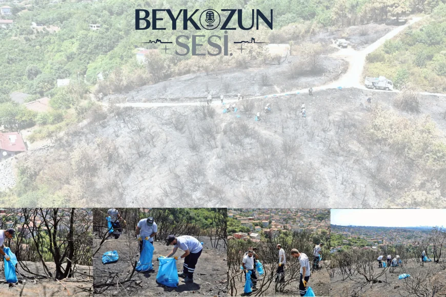 Başkan Vekili Özlem Vural Gürzel: “Ormanlarımızı korumak hepimizin ortak sorumluluğu”