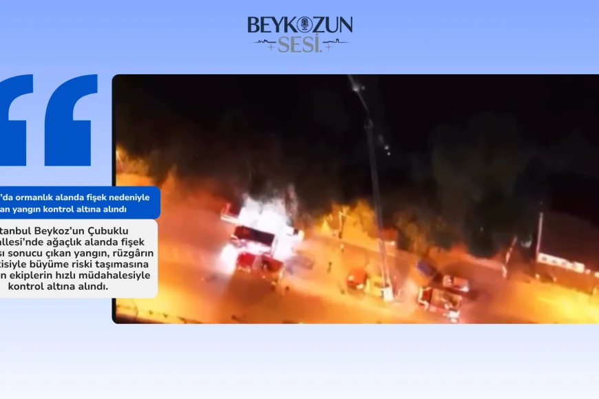 Çubuklu’da ormanlık alanda fişek nedeniyle çıkan yangın kontrol altına alındı