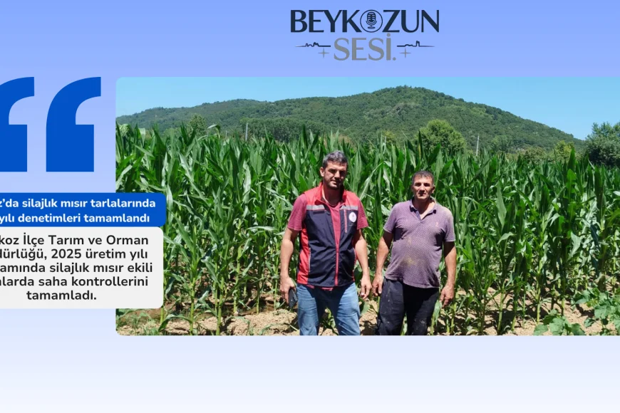 Beykoz’da silajlık mısır tarlalarında 2025 yılı denetimleri tamamlandı