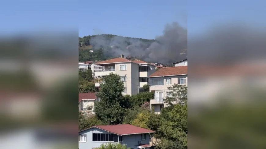 Beykoz Karlıtepe’de Orman Yangını: Alevler Kısa Sürede Yayıldı, Müdahale Sürüyor