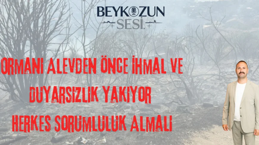 MHP'li Ahmet Baygın: "Ormanı Alevden Önce İhmal ve Duyarsızlık Yakıyor, Herkes Sorumluluk Almalı"