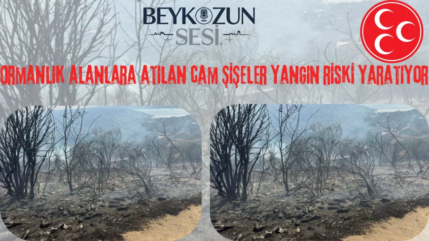MHP Beykoz İlçe Başkanlığı: "Ormanlık alanlara atılan cam şişeler yangın riski yaratıyor"