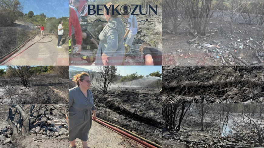 Beykoz’da Ormanlık Alanda Yangın Sonrası İçki Şişeleri Ortaya Çıktı: Muhtardan Duyarlılık Çağrısı