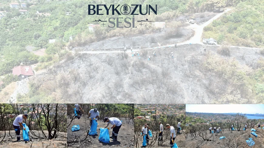 Başkan Vekili Özlem Vural Gürzel: “Ormanlarımızı korumak hepimizin ortak sorumluluğu”